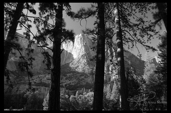 Yosemite