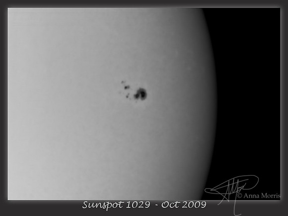 Sunspot 1029