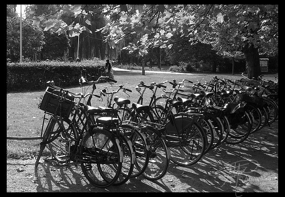 Amsterdam bicycles
