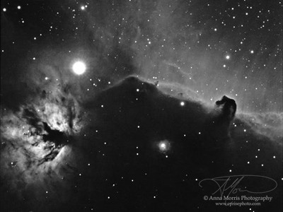 Horsehead & Flame Nebulas