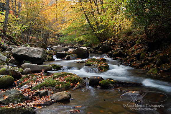 Blue Ridge Parkway - NC