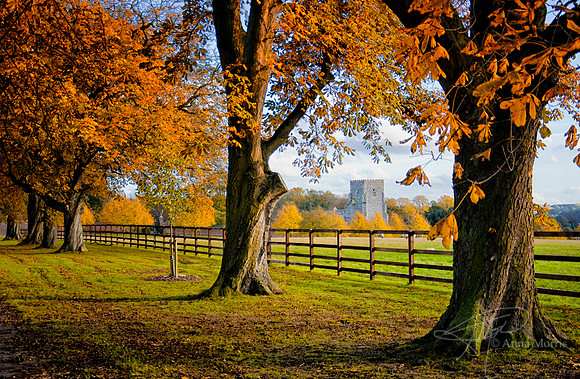 England in the Fall2