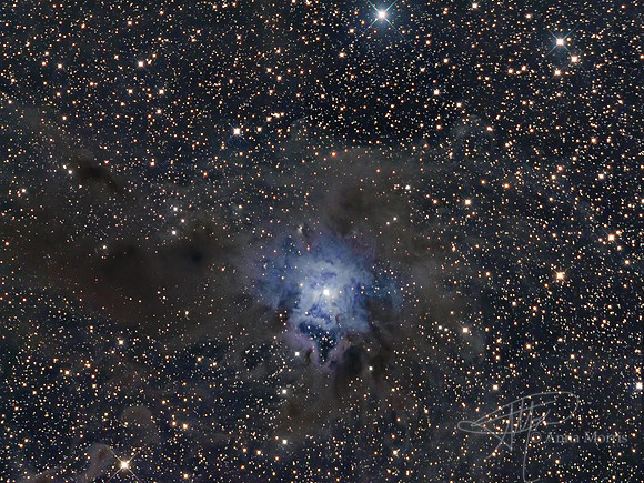 Iris Nebula