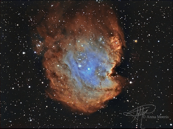 Monkey Head Nebula