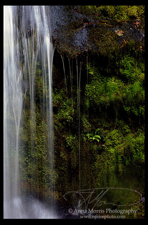 Mossy Falls - Wales