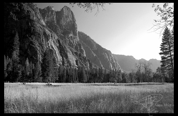 Yosemite in B&W