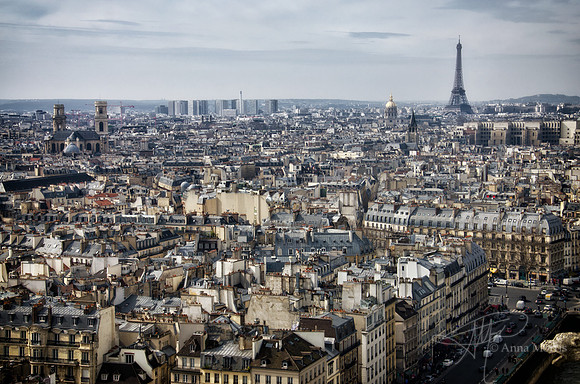 Paris Skyline
