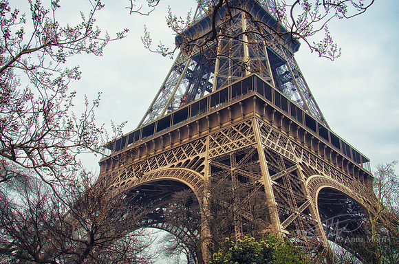 Eiffel Tower 3