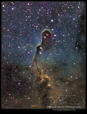 Elephant Trunk Nebula