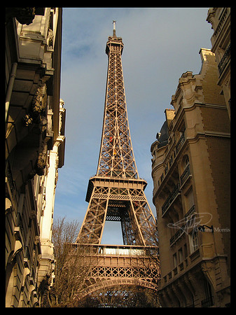 Eiffel Tower between the buildings