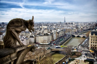 Notre Dame - Gargoyle overlooking the city